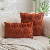 Pumpkin Throw Pillow Cover/Pillowcase Autumn Theme Beautiful and Comfy (PILLOW INSERTS NOT INCLUDED)