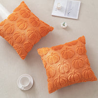 Pumpkin Throw Pillow Cover/Pillowcase Autumn Theme Beautiful and Comfy (PILLOW INSERTS NOT INCLUDED)