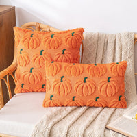Pumpkin Throw Pillow Cover/Pillowcase Autumn Theme Beautiful and Comfy (PILLOW INSERTS NOT INCLUDED)