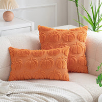 Pumpkin Throw Pillow Cover/Pillowcase Autumn Theme Beautiful and Comfy (PILLOW INSERTS NOT INCLUDED)